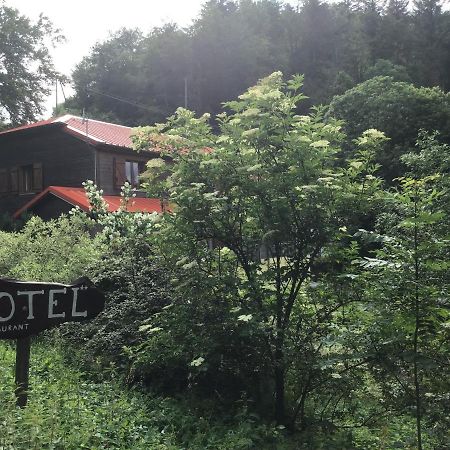 Hotel Restaurant La Fourmi Bourbach-le-Haut Екстериор снимка