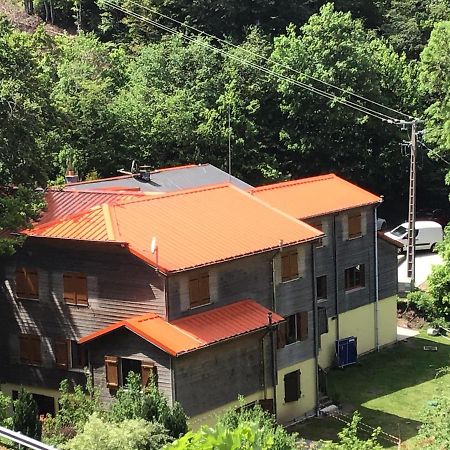 Hotel Restaurant La Fourmi Bourbach-le-Haut Екстериор снимка
