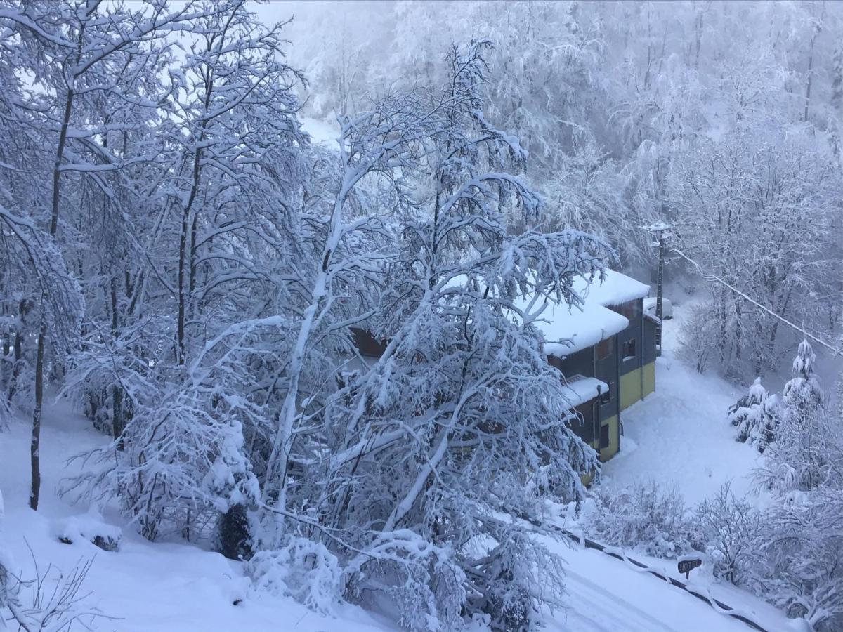Hotel Restaurant La Fourmi Bourbach-le-Haut Екстериор снимка